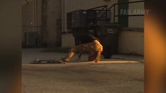 failarmy international