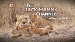 the jack hanna channel