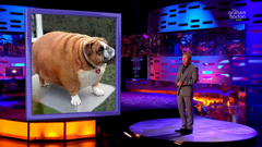 the graham norton show