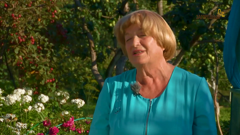 загородный international