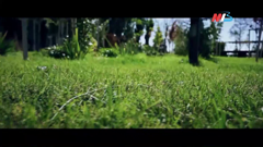 мтв волгоград