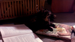 pluto tv family movie club