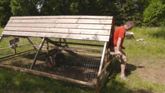 a new life in the sun