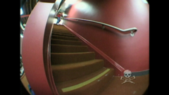 comedia a lo bestia de pluto tv