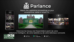 legislative assembly of ontario committees