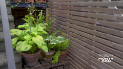 gardening with monty don