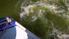 world fishing network