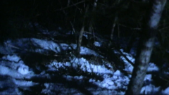 pluto tv verdenskrigene