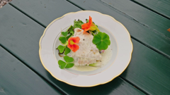 tareq taylor's nordic cookery