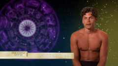 best of paradise hotel