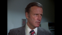 die sieben-millionen-dollar-frau