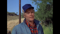 die sieben-millionen-dollar-frau