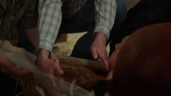 super channel hearties