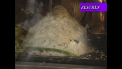 pluto tv estilo de vida