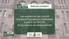 legislative assembly of ontario committees