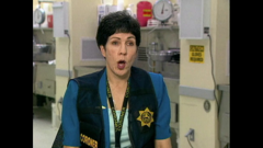 les nouveaux detectives