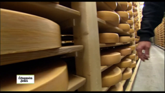 echappées belles co