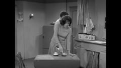 the dick van dyke show