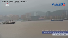 四川峨眉山远眺贡嘎雪山