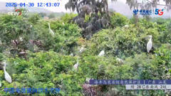 四川四姑娘山隆珠措