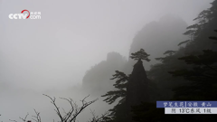 贵州省兴义市万峰林