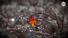 наша сибирь 4к