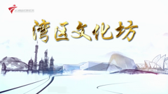 大湾区卫视高清