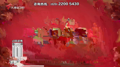 大湾区卫视高清