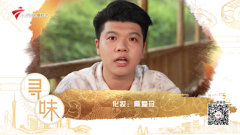 大湾区卫视高清