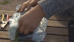 gardening with monty don