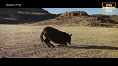 action hollywood movies