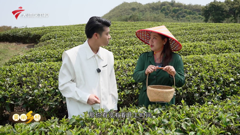 大湾区卫视高清