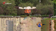 大湾区卫视高清