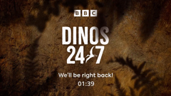 dinos 24/7