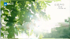 浙江卫视
