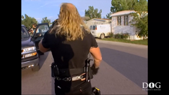 dog the bounty hunter