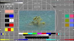 cctv-11hd