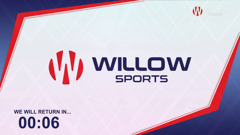 willow sports