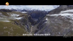 甘肃卫视