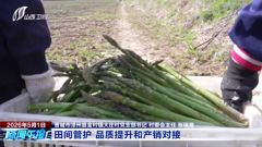 山西卫视