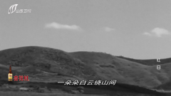 山西卫视 高清