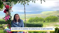 skai tv