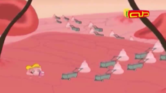 taha tv