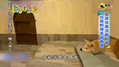 東森超視34.5