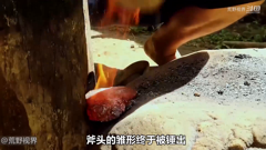 荒野视界