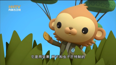 内蒙古卫视
